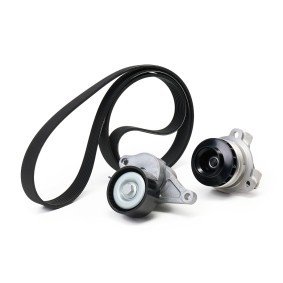 Compre Bomba de água + kit da correia de distribuição da SKF VKMC 36084 a um preço baixo por 168,52 €