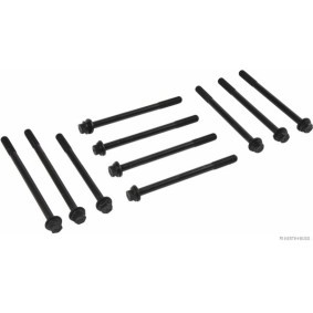 Acquista Kit bulloni testata da HERTH+BUSS JAKOPARTS J1284016 a buon mercato per soli 46,73 €