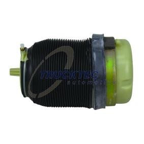 Osta Ilmajousi TRUCKTEC AUTOMOTIVE:llä 07.30.053 edullisesti hintaan 390,21 €