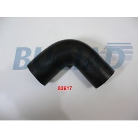 Acquista Tubo intercooler da BUGIAD online per Polo Sedan (9A4, 9A2, 9N2, 9A6) a prezzi moderati