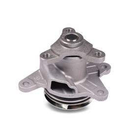 Wasserpumpe P905 von HEPU günstig für 65,30 € online kaufen