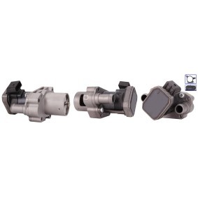 Compre Válvula EGR da DRI 717730140 a um preço baixo por 245,33 €