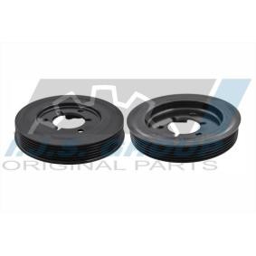 Compre Polia, cambota da IJS GROUP 17-1059 a um preço baixo por 51,62 €