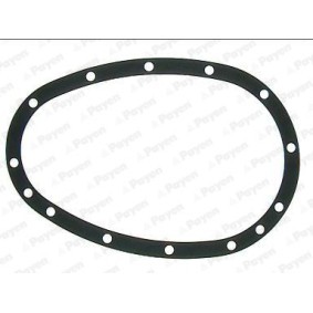 Achetez des Joint de carter d'huile PAYEN JJ098 à prix pour 23,06 €