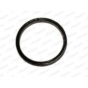 Comprar Junta, tubo de escape de PAYEN JE017 a bajo precio de 7,04 €