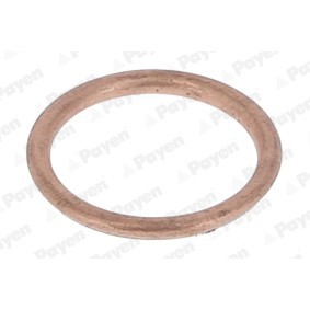 Acquista Anello di tenuta, vite di scarico olio da PAYEN KJ647 a buon mercato per soli 0,88 €