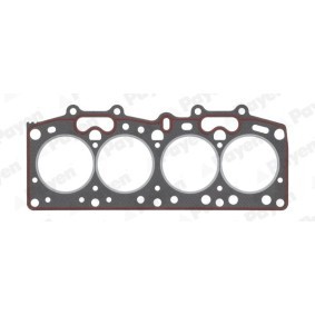 Comprar Junta, Volante motor de PAYEN LT004 a bajo precio de 3,42 €