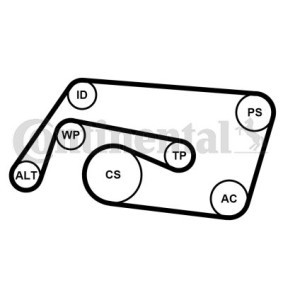 Keilrippenriemensatz 6PK2260K2 von CONTITECH günstig für 86,52 € online kaufen