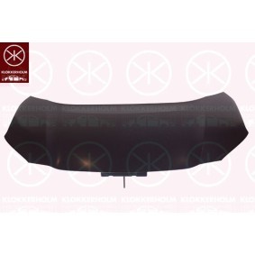 Compre Grelha de pára-choques de KLOKKERHOLM online para S80 II (124) a preços moderados