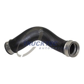 Compre Polia, cambota da TRUCKTEC AUTOMOTIVE 02.11.036 a um preço baixo por 187,45 €