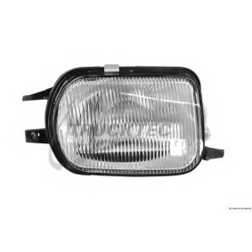 Acquista Fendinebbia da TRUCKTEC AUTOMOTIVE 02.58.252 a buon mercato per soli 58,86 €