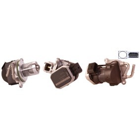Compre Válvula EGR da ELSTOCK 73-0019 a um preço baixo por 305,48 €