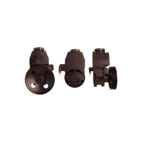 Servopumpe 15-0868 von ELSTOCK günstig für 110,23 € online kaufen