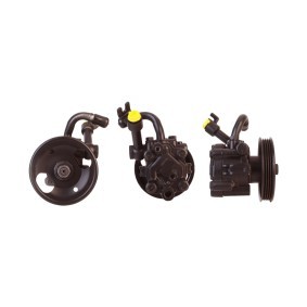 Servopumpe 15-1355 von ELSTOCK günstig für 217,17 € online kaufen