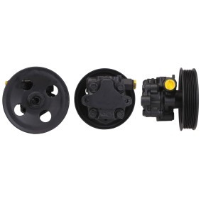 Servopumpe 15-0896 von ELSTOCK günstig für 311,04 € online kaufen