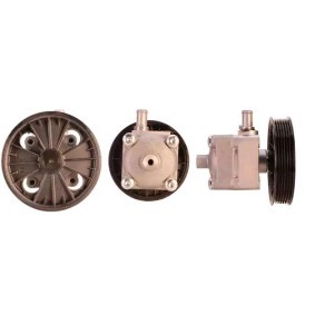 Servopumpe 15-0457 von ELSTOCK günstig für 220,48 € online kaufen
