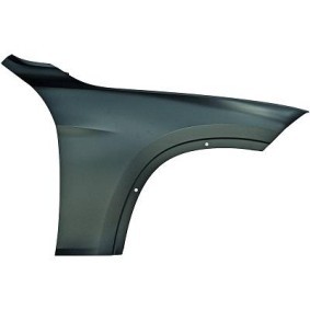 Comprar Guardabarros de DIEDERICHS 1265107 a bajo precio de 124,80 €