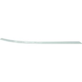 Compre Friso de para-choques de DIEDERICHS online para Classe B (W246, W242) a preços moderados