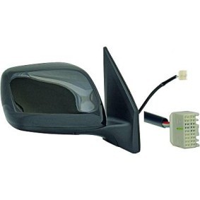 Compre Espelho retrovisor de DIEDERICHS online para LAND CRUISER (VDJ20_, UZJ20_) a preços moderados