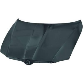 Comprar Capó de DIEDERICHS 7840000 a bajo precio de 233,43 €