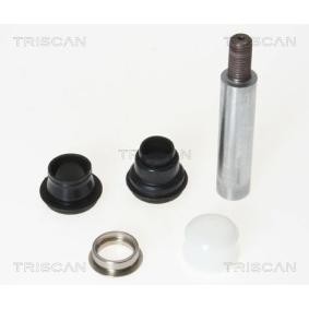 Compre Jogo de casquilhos de guia, pinça de travão da TRISCAN 8170 169201 a um preço baixo por 24,67 €
