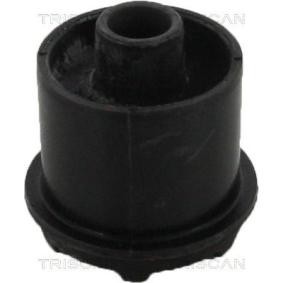 Compre Suspensão, braço oscilante da TRISCAN 8500 17811 a um preço baixo por 22,33 €