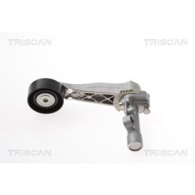 Fahrwerksfeder 8750 28254 von TRISCAN günstig für 52,46 € online kaufen
