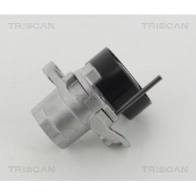 Fahrwerksfeder 8750 43119 von TRISCAN günstig für 71,14 € online kaufen