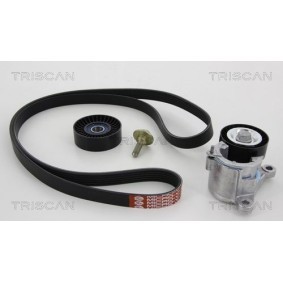 Fahrwerksfeder 8750 6852 von TRISCAN günstig für 47,49 € online kaufen