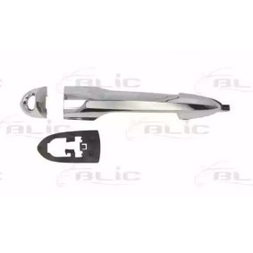 Comprar Manecilla de puerta de BLIC 6010-22-016401P a bajo precio de 38,95 €