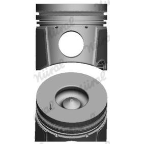 Achetez des Piston de chez NÜRAL en ligne pour Discovery II (L318) à prix modérés