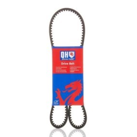Compre Correia trapezoidal da QUINTON HAZELL QBA1100 a um preço baixo por 10,15 €