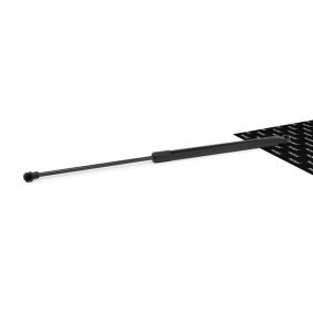 Osta Kaasujousi, tavaratila RIDEX:llä 219G0229 edullisesti hintaan 13,82 €