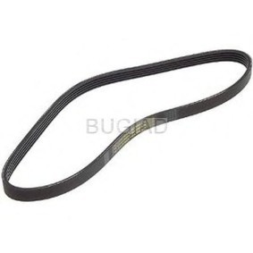 Keilrippenriemen BSP21992 von BUGIAD günstig für 21,45 € online kaufen