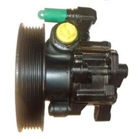 Servopumpe 04.13.0102 von LIZARTE günstig für 182,30 € online kaufen