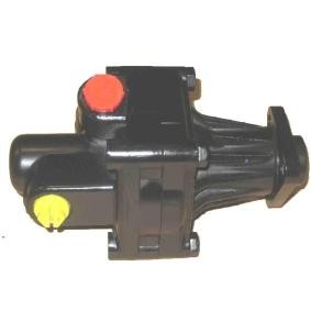 Servopumpe 04.23.0128 von LIZARTE günstig für 239,43 € online kaufen