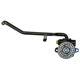 Acquista Pompa idroguida da LIZARTE online per LAND CRUISER Hardtop (_J7_) a prezzi moderati