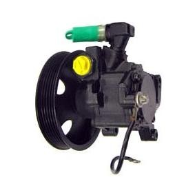 Servopumpe 04.52.0102 von LIZARTE günstig für 293,72 € online kaufen