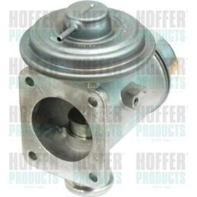 Compre Válvula EGR da HOFFER 7518194 a um preço baixo por 172,64 €