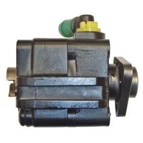Servopumpe 04.88.0308 von LIZARTE günstig für 239,68 € online kaufen