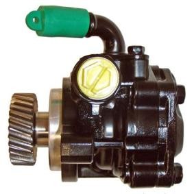 Compre Bomba de dirección de LIZARTE online para Monterey B (M98) a precios moderados