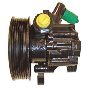 Servopumpe 04.13.0081-1 von LIZARTE günstig für 297,07 € online kaufen