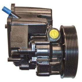 Servopumpe 04.13.0098-1 von LIZARTE günstig für 174,60 € online kaufen