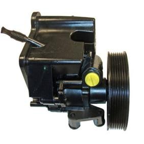 Servopumpe 04.52.0098-1 von LIZARTE günstig für 252,85 € online kaufen