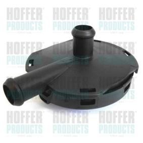 Comprar Válvula, ventilación cárter de HOFFER 8091607 a bajo precio de 38,83 €