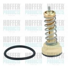 Comprar Termostato, refrigerante de HOFFER 8192617 a bajo precio de 43,70 €