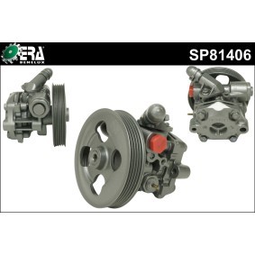 Compre Bomba de direção da ERA Benelux SP81406 a um preço baixo por 354,59 €