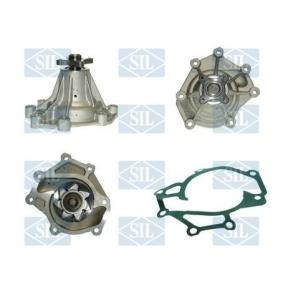 Achetez des Pompe à eau de chez Saleri SIL en ligne pour H350 Camionnette à prix modérés