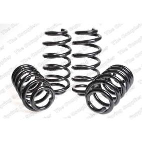 Fahrwerksatz, Federn 4504285 von LESJÖFORS günstig für 198,01 € online kaufen