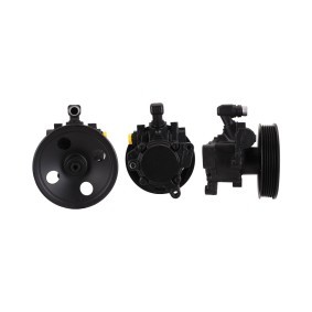 Servopumpe 15-0341 von ELSTOCK günstig für 208,44 € online kaufen